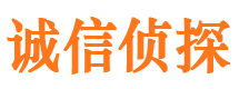 安图寻人公司